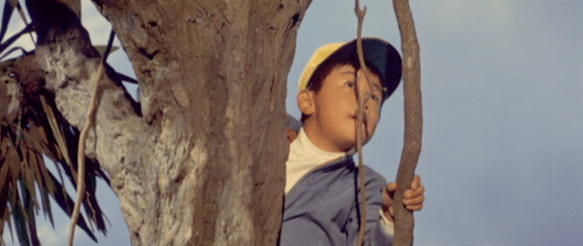 Screen Shot 2017-12-27 at 1.19.48 PM