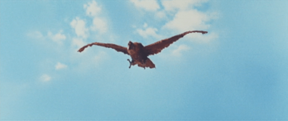 Screen Shot 2017-12-27 at 1.20.25 PM