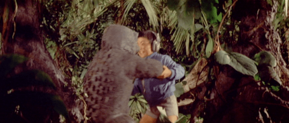 Screen Shot 2017-12-27 at 3.44.25 PM