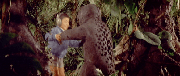 Screen Shot 2017-12-27 at 3.45.25 PM