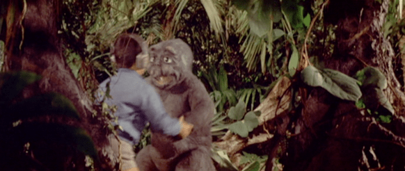 Screen Shot 2017-12-27 at 3.45.41 PM