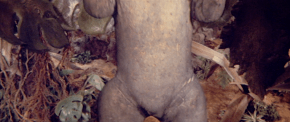 Screen Shot 2017-12-27 at 3.50.35 PM