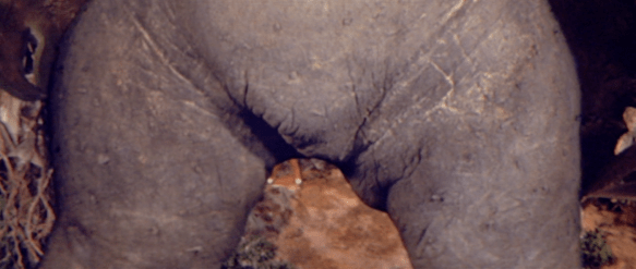 Screen Shot 2017-12-27 at 3.50.48 PM