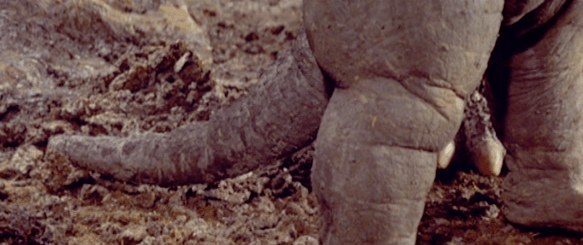 Screen Shot 2017-12-27 at 8.08.45 PM