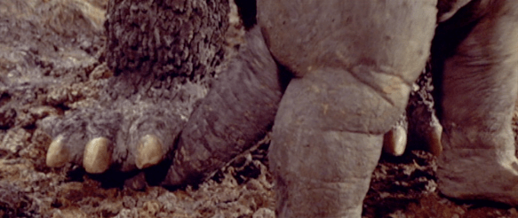 Screen Shot 2017-12-27 at 8.09.05 PM