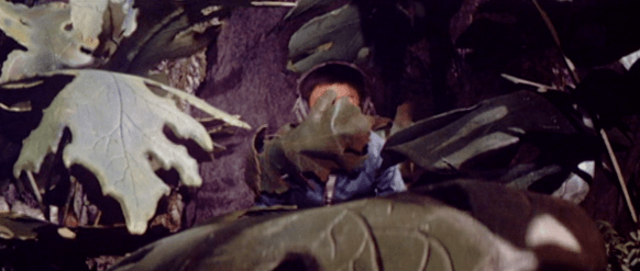 Screen Shot 2017-12-27 at 9.37.22 PM