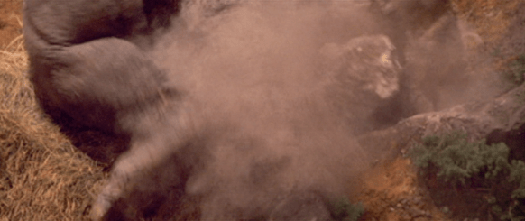 Screen Shot 2017-12-27 at 9.51.36 PM