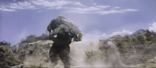 tumblr_nh83w01Fxz1qaqx8xo2_500