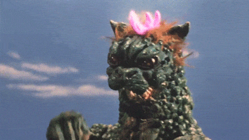 tumblr_ni8luuEkwP1roqtzko4_500