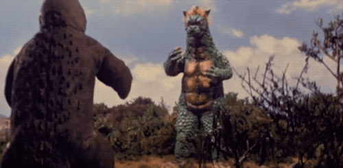 tumblr_omzkprxnsZ1qaqx8xo1_500