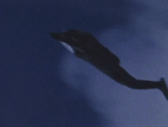 Screen Shot 2018-02-19 at 1.43.07 AM