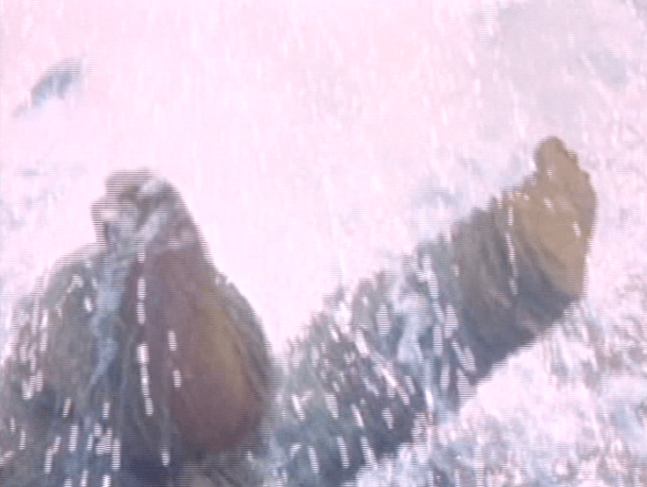 Screen Shot 2018-05-23 at 2.26.06 AM