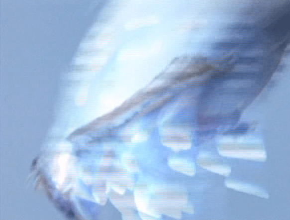 Screen Shot 2018-05-30 at 1.14.00 AM