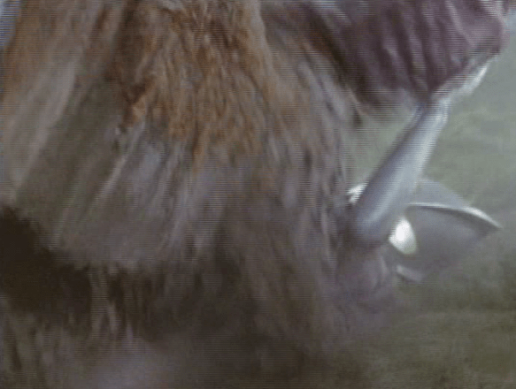 Screen Shot 2018-05-30 at 1.30.03 AM