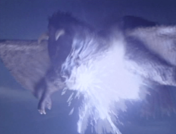 Screen Shot 2018-05-30 at 12.55.12 AM