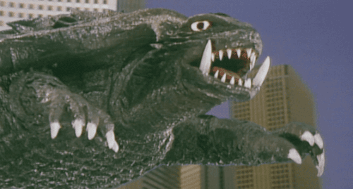 DismalDearAmericantoad-size_restricted