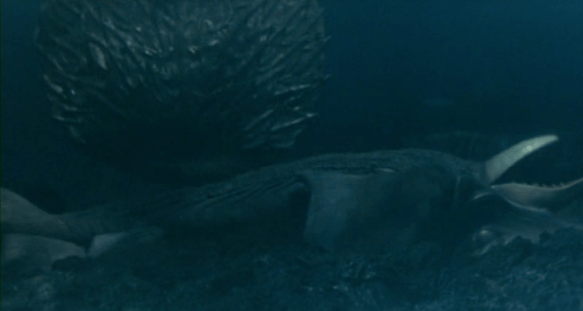 Screen Shot 2018-06-27 at 2.21.49 PM