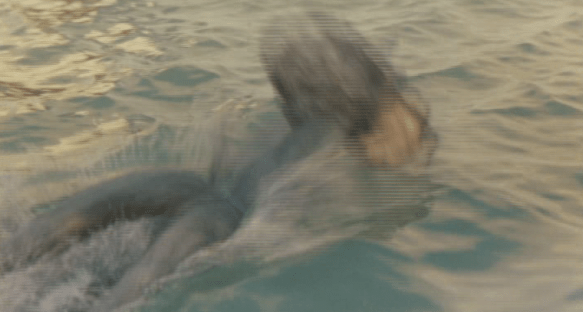 Screen Shot 2018-06-27 at 3.23.51 PM