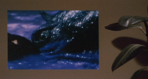 screen shot 2018-06-28 at 1.58.22 pm