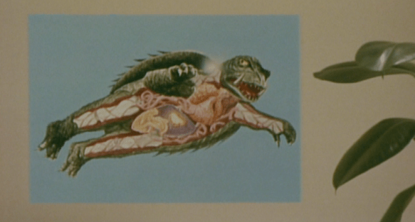 screen shot 2018-06-28 at 2.52.46 am