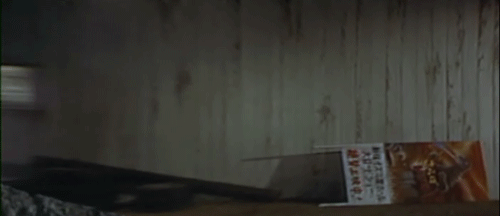 tumblr_nt4w7irzhk1u6ztwpo2_500