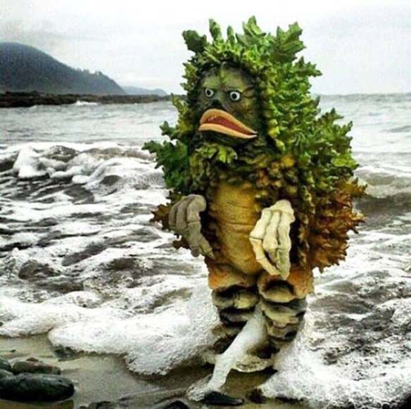 60680963_460678288004622_779426046125539328_n