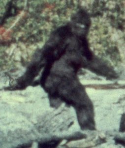 bigfoot-patterson-film