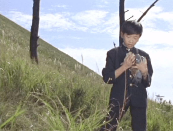 Screen Shot 2018-05-30 at 11.48.59 AM.png