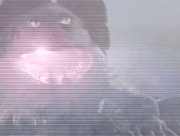 Screen Shot 2018-05-30 at 12.40.21 PM