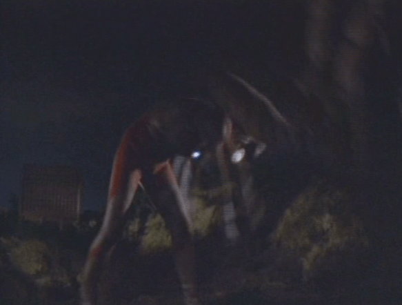 Screen Shot 2019-07-30 at 1.34.12 AM