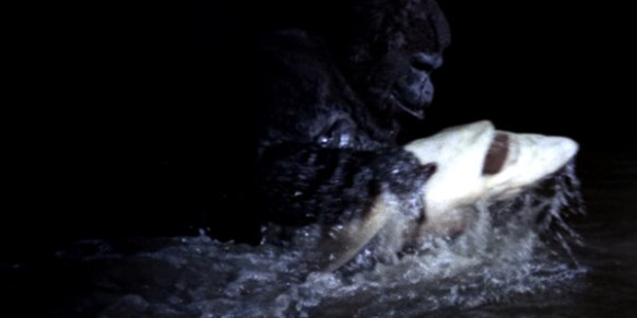 ape-vs-shark.jpg