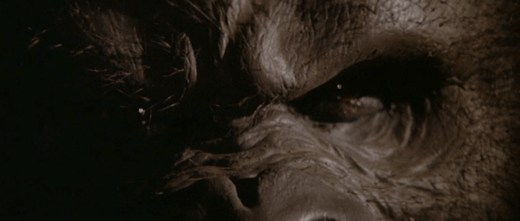 Screen Shot 2019-09-26 at 11.23.47 PM