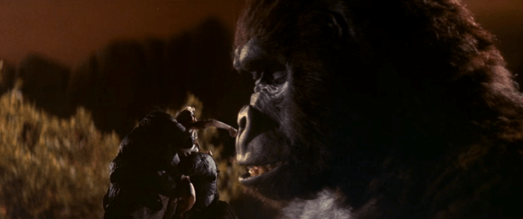 Screen Shot 2019-09-26 at 11.25.00 PM