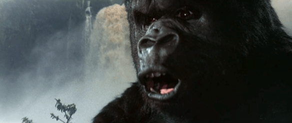 Screen Shot 2019-09-26 at 11.50.51 PM