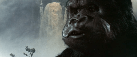 Screen Shot 2019-09-26 at 11.51.00 PM