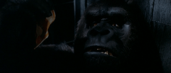 Screen Shot 2019-09-27 at 1.04.50 AM