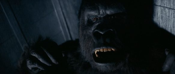 Screen Shot 2019-09-27 at 1.11.38 AM