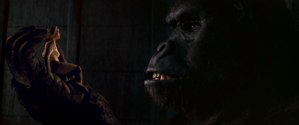 Screen Shot 2019-09-27 at 1.13.42 AM