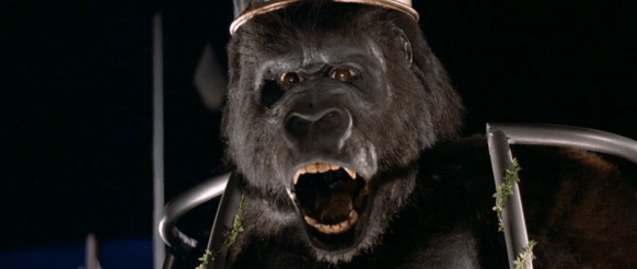 Screen Shot 2019-09-27 at 1.30.27 AM