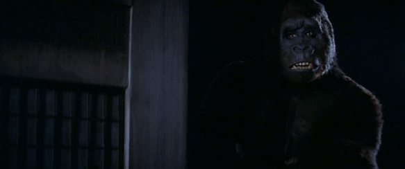 Screen Shot 2019-09-27 at 1.45.39 AM