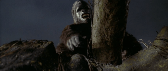 Screen Shot 2019-09-27 at 12.00.03 AM