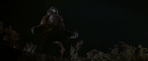 Screen Shot 2019-09-27 at 12.36.14 AM