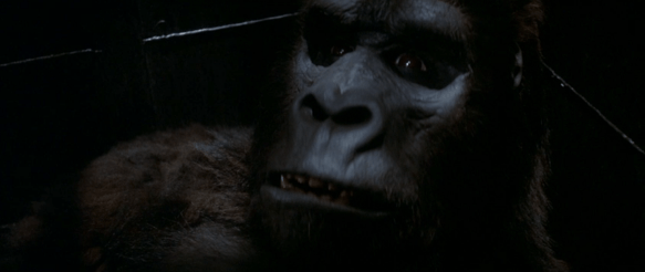 Screen Shot 2019-09-27 at 12.56.58 AM