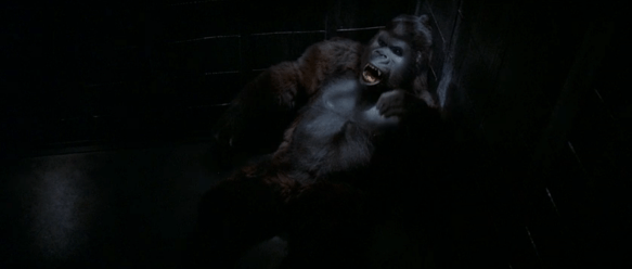 Screen Shot 2019-09-27 at 12.58.06 AM