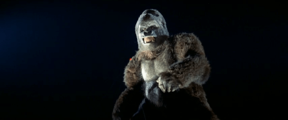 Screen Shot 2019-10-15 at 12.04.27 AM