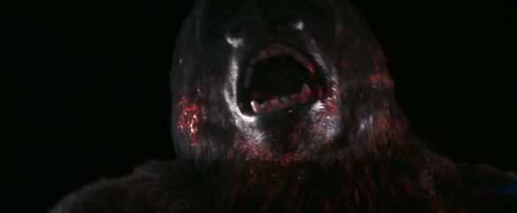 Screen Shot 2019-10-15 at 12.10.48 AM