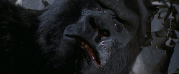 Screen Shot 2019-10-15 at 12.14.09 AM