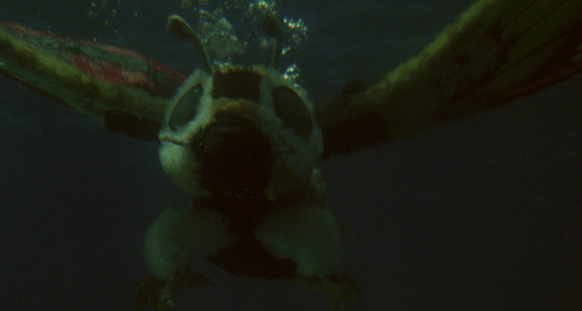 Screen Shot 2020-05-11 at 12.27.57 AM