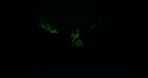 Screen Shot 2020-05-11 at 12.28.19 AM