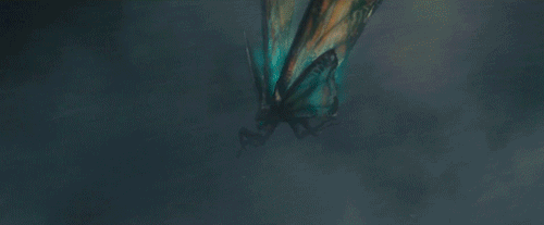 tumblr_inline_pskgfmwIGK1wreg07_540